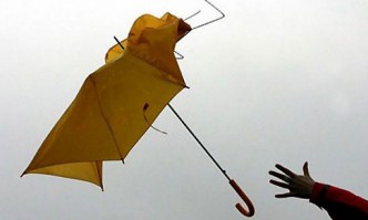 На над 120 сигнала за паднали клони дървета и ламарини