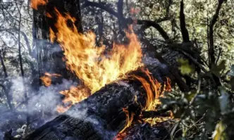 Най големият активен пожар в Калифорния се разрастна и застрашва хиляди