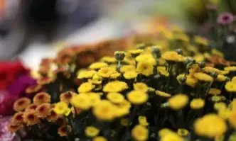 Днес минималните температури ще са предимно между минус 2° и