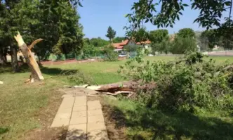 Кметът на община Бяла Слатина обяви частично бедствено положение на