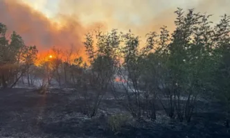 Днес продължава борбата с пожара в Сакар планина който вече
