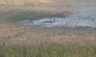 Рязко се повишиха нивата на Янтра, наводнени са земеделски площи