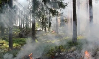 Пожар избухна в местност до София