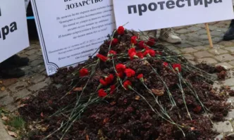 Лозари изкореняват насажденията си и са пред фалит а държавата