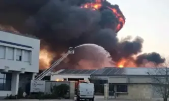 Пожарът край пловдивското село Царацово е потушен Това съобщи пред