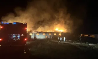 Голям пожар изпепели ферма в Кънчево, загинаха над 15 крави