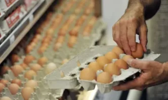 БАБХ: Взети са проби от 2,6 млн. яйца, внесени от Украйна и Латвия