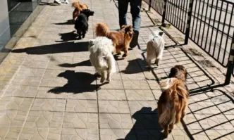 Във Второ РУ в Стара Загора се извършва проверка по