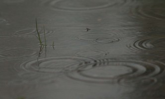 През следващото денонощие в страната ще преобладава облачно време На много