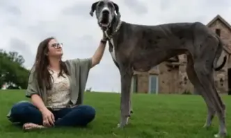 Почина най-високото куче в света