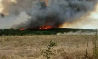 Пожар се е запалил в Средна гора съобщават очевидци Според