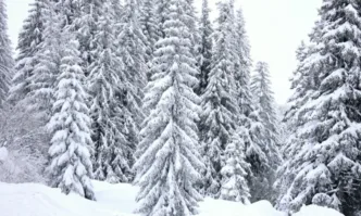 Националната система за ранно предупреждение в Самоков бе задействана заради