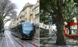 От профила във Фейсбук на Никола Стойнов журналистПо повод екзекуцията