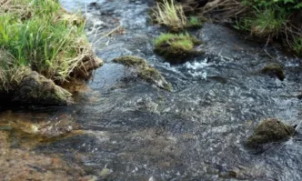 Какво да правите, ако сънувате вода?