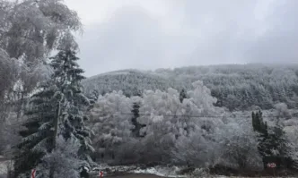 Сигнал за три убийства в хижа в района на Петрохан