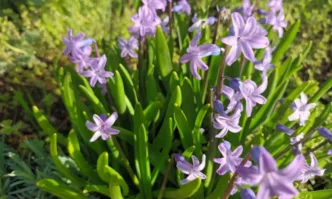 Продължава серията слънчеви и приветливи мартенски дни В четвъртък и