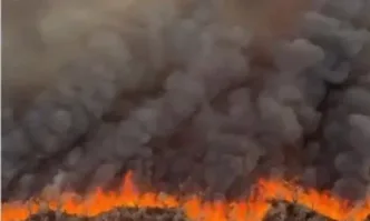 Пожар край Берлин носи риск от взривове на стари боеприпаси