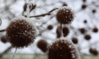 До края на вечерта и през следващото денонощие на много