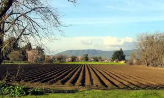 Средният размер на поземлените ренти у нас е сред най високите
