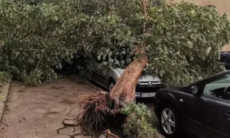 Бури със силен вятър и пороен дъжд са се разразили