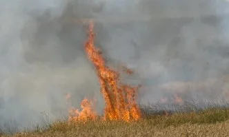 Пожар край хасковското село Брягово е обхванал 2 хил. декара гори