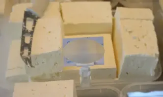 Повторен и задълбочен ДНК количествен тест анализ на Сдружението за