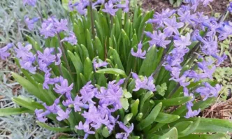 На Велика събота облачността ще се задържи по често значителна след