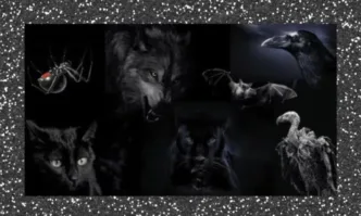 Тест: Коя е тъмната страна на твоята личност?