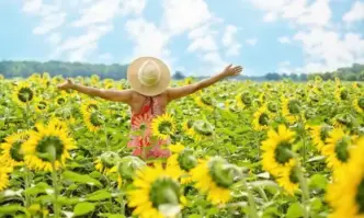 Днес времето ще бъде слънчево температурите ще се повишават Ще