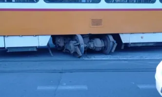 От 19 12 2024 г до 28 01 2025 г включително се забранява влизането