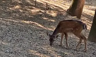 Община Благоевград се самосезира и започна проверка във връзка с