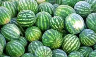 Родните производители се оплакват пред БТВ че прекупвачите им предлагат