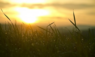 В четвъртък времето над страната ще е предимно слънчево Около