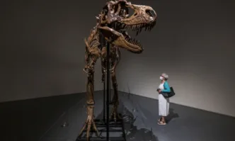 Продадоха на търг рядък скелет на динозавър за 6 млн. долара