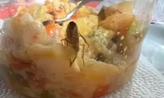 Майка открила хлебарка в купичката с храна на детето ѝ