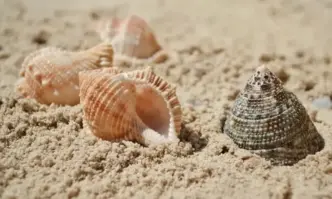 В събота ще бъде слънчево след обяд на места с