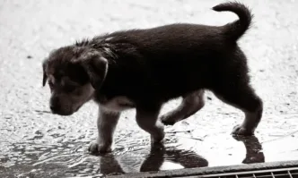 Жълт и оранжев код е обявен в четвъртък за значителни