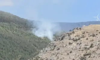Пожар избухна в гората под връх Бузлуджа Към момента огнището