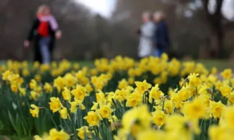 Облачността ще бъде предимно значителна но висока През деня вятърът