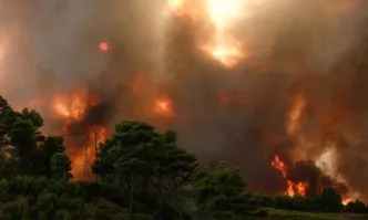 Пожар бушува в Национален парк Рила