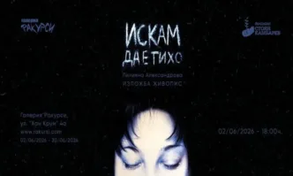 Галерия Ракурси представя младата художничка Лилияна Александрова с изложбата Искам да е тихо