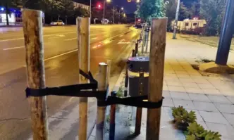 Установени са хора отрязали млади дървета пред билборд в район Слатина
