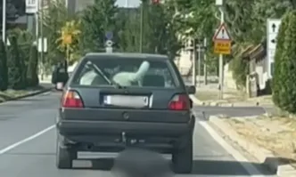 69 годишен мъж от Банско е задържан заради проява на жестокост