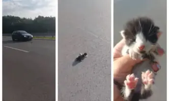 Натоварено движение по магистралата горещ асфалт и адски горещини В