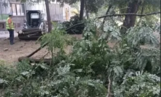 Поредното противоречиво решение на местната власт в Пазарджик предизвика обществено