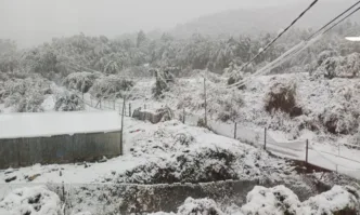 Берковица и селата в общината останаха без ток