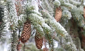 В неделя сутринта южният вятър ще се усили Жълт код