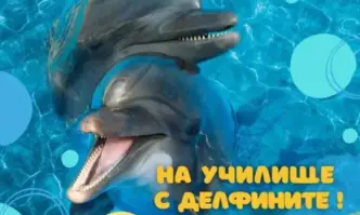 Делфинариум Варна подарява безплатен билет на децата за първия учебен
