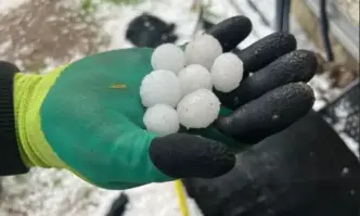 Градушка с размерите на топка за голф удари Севлиевско Това е