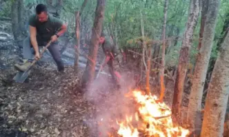 Загасен е пожарът който избухна под Царев връх в планина